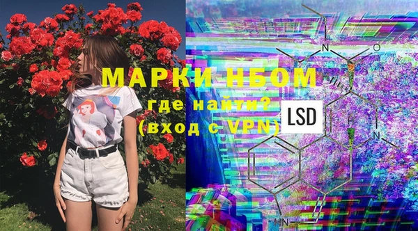 мяу мяу мука Баксан