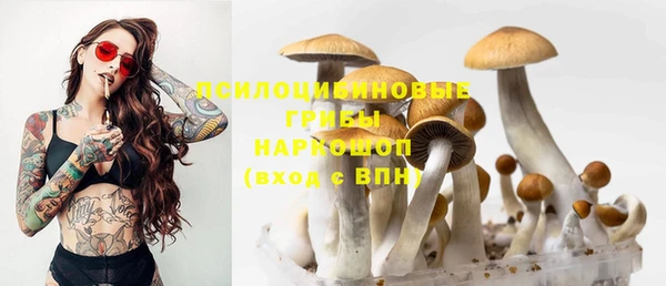 мяу мяу мука Баксан